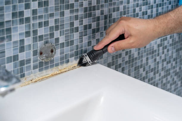 Best Commercial Mold Remediation in Spring Grove, MN